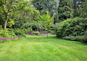 Optimiser l'expérience du jardin à Boissy-le-Chatel